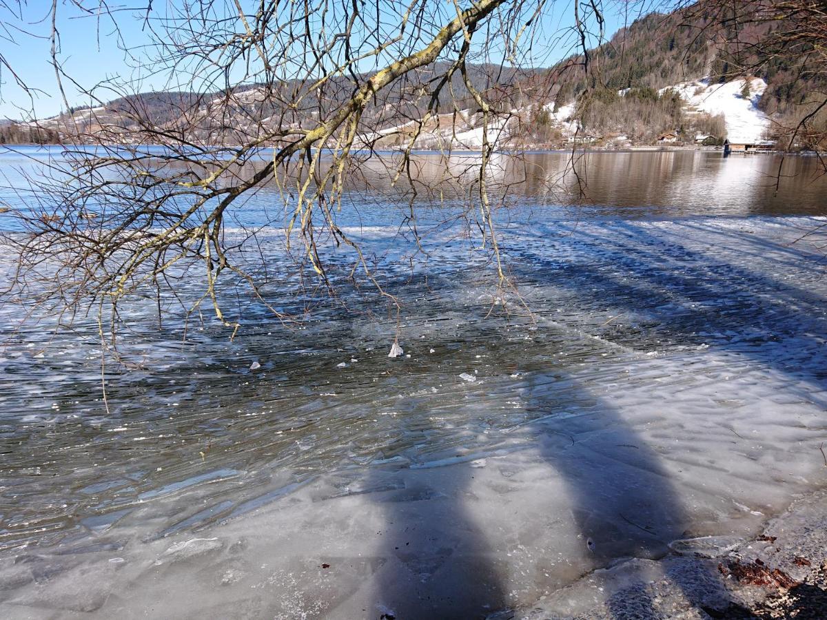 Haus-Brecherspitzblick Apartment Schliersee Luaran gambar